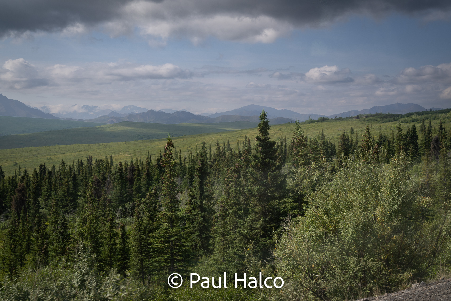 Paul Halco - Denali NP-15